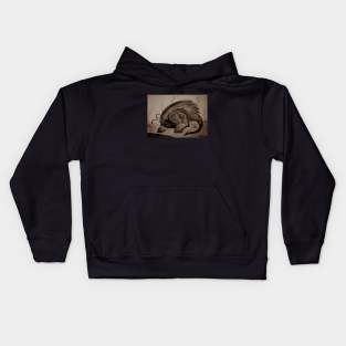 Beetle Hog by the creek Kids Hoodie